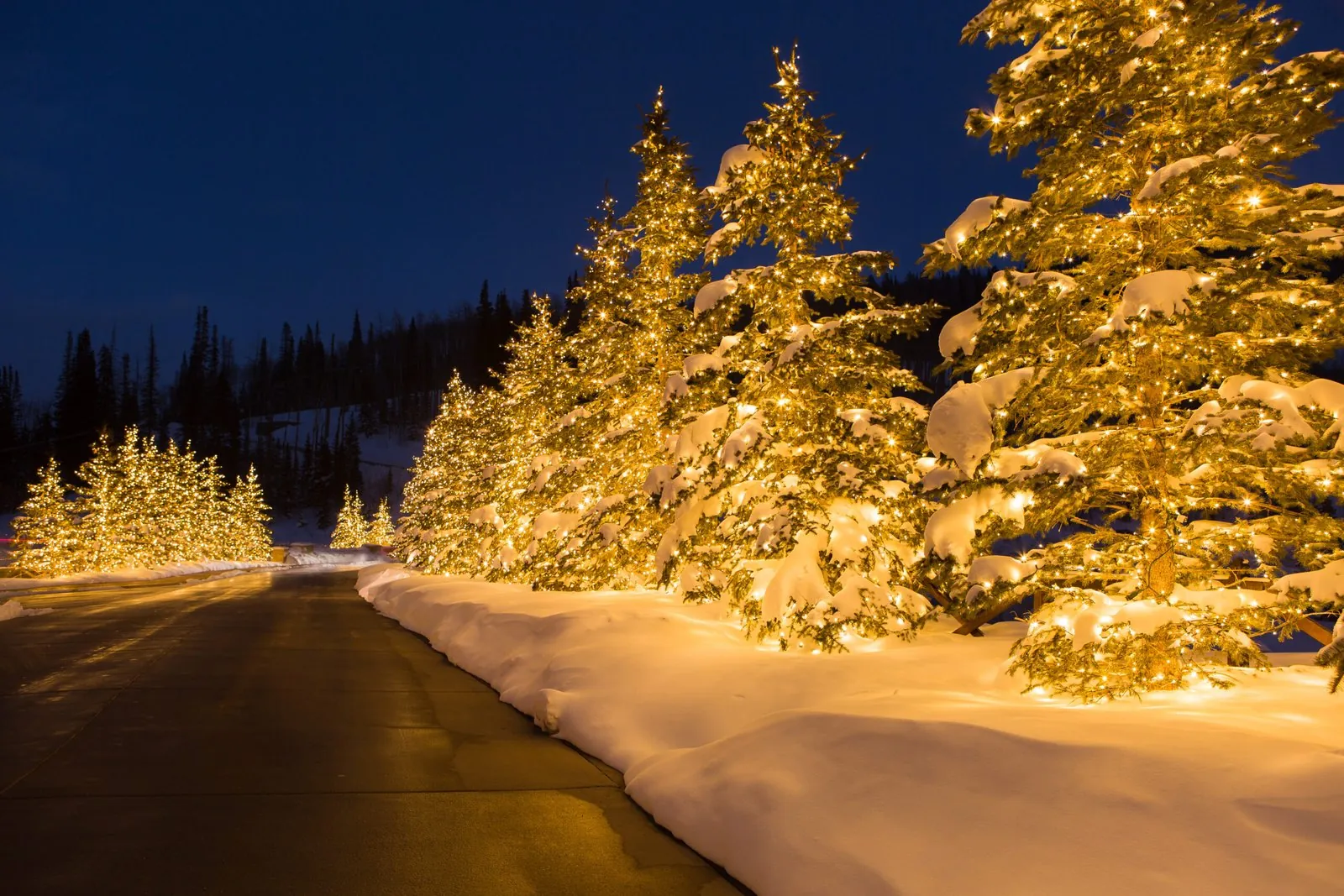 Utah Residential Lighting